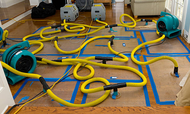 Professional Crawl Space Water Removal technician working in Wahkiacus, WA